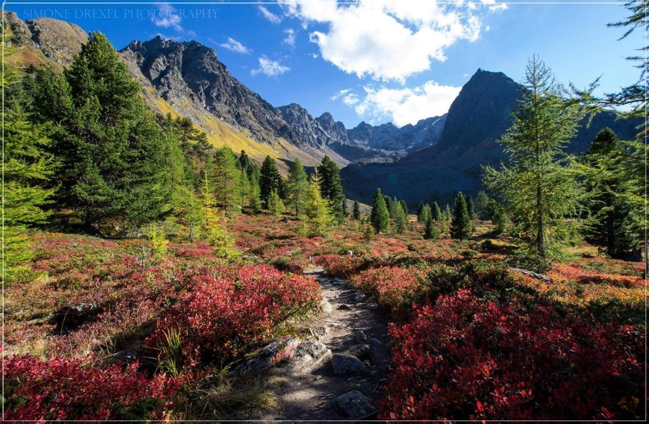 Apart Thurner Kappl  Dış mekan fotoğraf